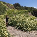 Milos Experience Archaelogical and Cultural Experience - Final Thoughts: Is This Tour for You?