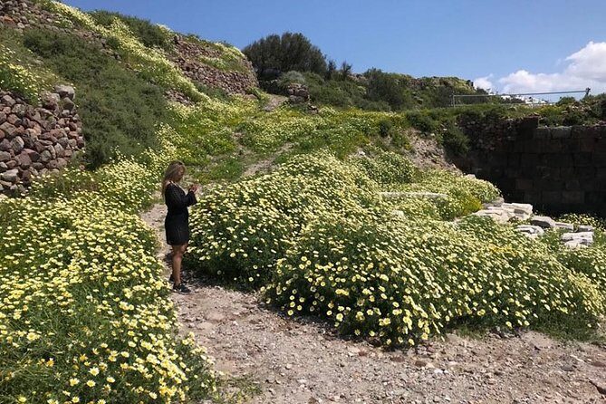 Milos Experience Archaelogical and Cultural Experience - Final Thoughts: Is This Tour for You?