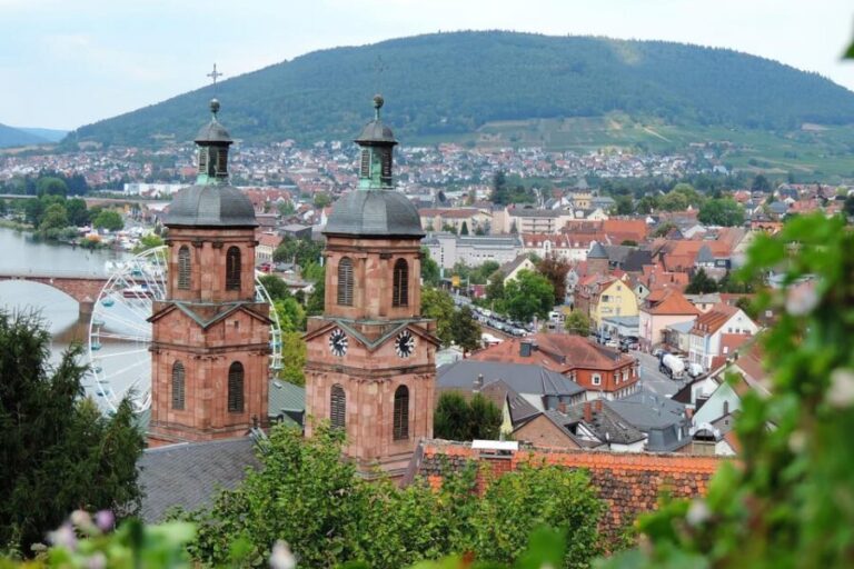 Miltenberg - Private Walking Tour - Exploring the Miltenberg Private Walking Tour in Detail
