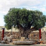 Minoan Day Experience - A Closer Look at the Itinerary