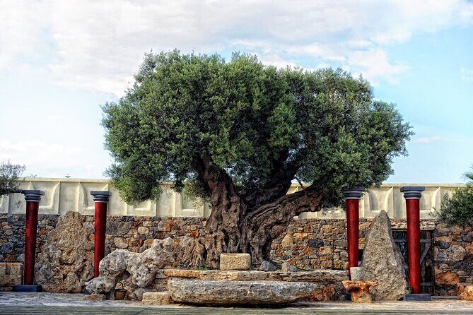 Minoan Day Experience - A Closer Look at the Itinerary