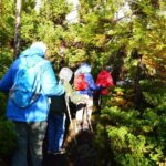 Mistérios Negros Hiking Trail - Terceira Azores - An In-Depth Look at the Mistérios Negros Hiking Trail