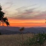 Moclín Walking Tour - The Practical Side: Booking, Pricing, and Tips