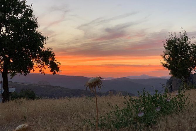 Moclín Walking Tour - The Practical Side: Booking, Pricing, and Tips