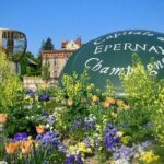 Moet et Chandon Pommery Pressoria Champagne Private trip - Final Thoughts: Who Is This Tour For?