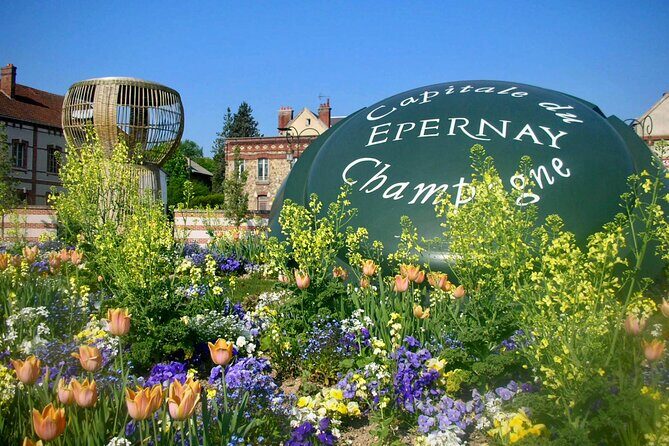 Moet et Chandon Pommery Pressoria Champagne Private trip - Final Thoughts: Who Is This Tour For?