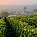 Moet et Chandon Pressoria Champagne Small Group from Paris - Transportation and group size