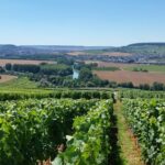 Moet et Chandon Tasting and Fun Private Tour in Champagne - Exploring the Itinerary in Detail