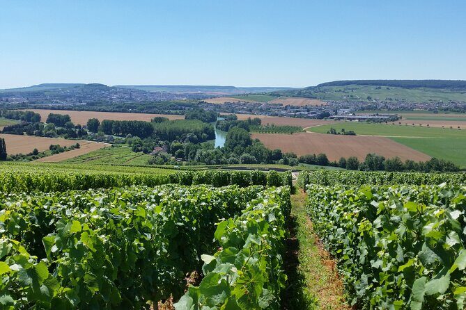 Moet et Chandon Tasting and Fun Private Tour in Champagne - Exploring the Itinerary in Detail