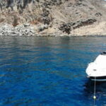 Mogan: Dolphin Watching Boat Trip with Swim Stop - Practical Details