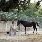 Moita: Amazing Full-Day Tour with Horseback Riding on the Beach - The Authentic Touch