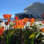Molde: 2-Hour Guided City Walking Tour - Why This Tour Offers Great Value