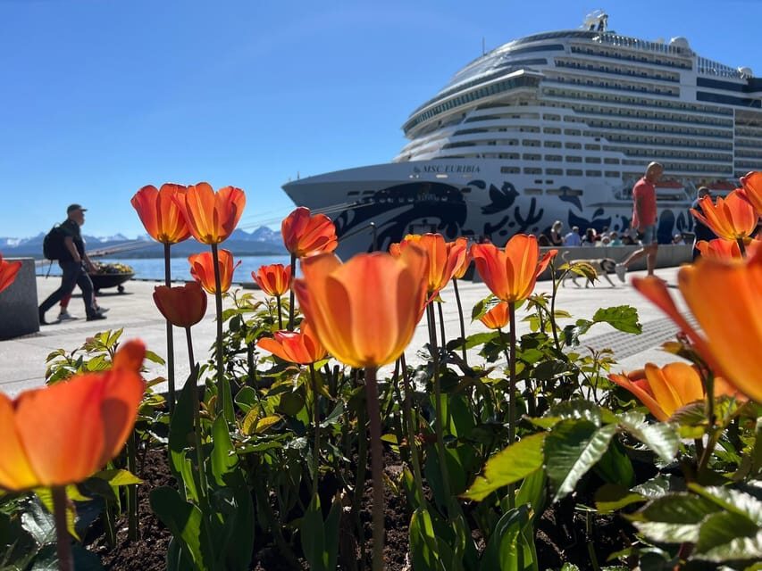 Molde: 2-Hour Guided City Walking Tour - Why This Tour Offers Great Value
