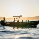 Molène Archipelago: Sea trips departing from Crozon. Seals, dolphins, - Who Should Consider This Tour?