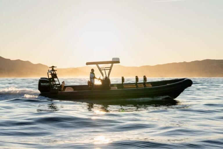 Molène Archipelago: Sea trips departing from Crozon. Seals, dolphins, - Who Should Consider This Tour?