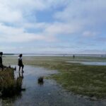 Moliceiro boat tour through the Ria de Aveiro! - The Experience for Different Travelers