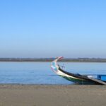 Moliceiro boat trip, with experience in bivalves harvesting - The Bivalve Harvesting Experience: Why It Matters