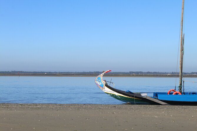 Moliceiro boat trip, with experience in bivalves harvesting - The Bivalve Harvesting Experience: Why It Matters