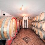 Monferrato: Barbera Wine Tasting Experience - The Tasting: Four Wines in Detail