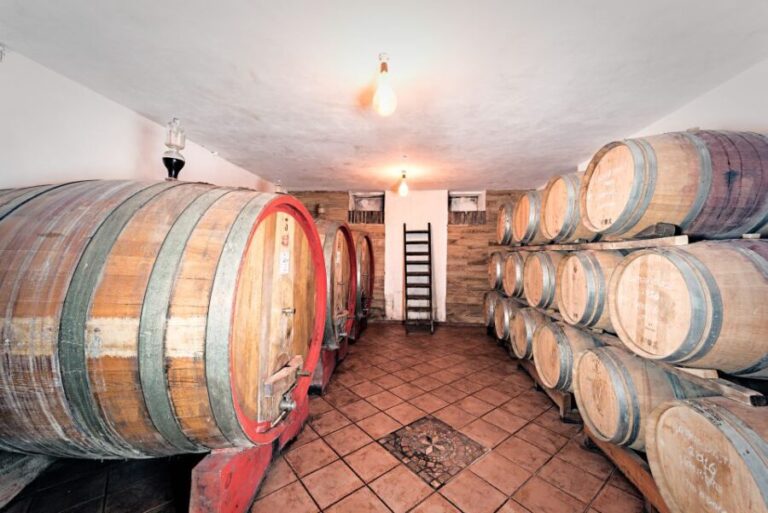 Monferrato: Barbera Wine Tasting Experience - The Tasting: Four Wines in Detail