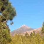 Monster Quad Teide Tour - Frequently Asked Questions (FAQs)