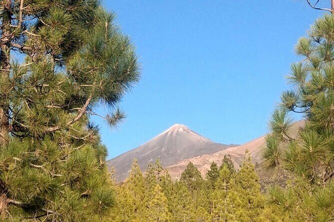 Monster Quad Teide Tour - Frequently Asked Questions (FAQs)