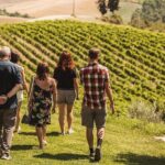 Montalcino Castle and Vineyards tour with tasting - Who Will Love This Tour?