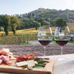 Montalcino: Cellar Tour, Brunello Tasting and Appetisers - Final Thoughts