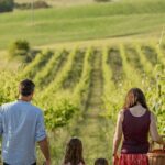 Montalcino: exclusive picnic in the vineyard with wine basket - Practicalities and Considerations