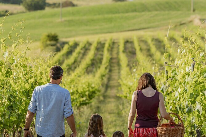 Montalcino: exclusive picnic in the vineyard with wine basket - Practicalities and Considerations