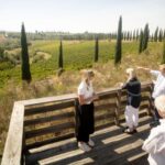 Montalcino: Guided Winery Tour and Wine Tasting - A Deep Dive into the Montalcino Winery Experience