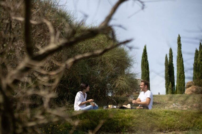 Montalcino: Vineyard Picnic with a Bottle of Wine - Why This Experience Works Well