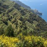 Montecatini Private Day Trip To Portovenere & Cinque Terre - Guides and Personal Touches