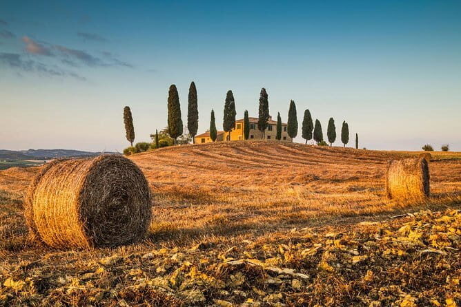 Montepulciano, Montalcino, Pienza from Florence - Transportation and Logistics