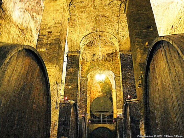 Montepulciano: Wine Tasting and Cellar Tour - The Wines and Food Pairings