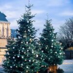 Montmartre: Semi Private Guided Stroll in Bohemian Paris - Practical Details and What to Expect