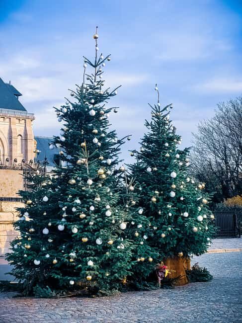 Montmartre: Semi Private Guided Stroll in Bohemian Paris - Practical Details and What to Expect