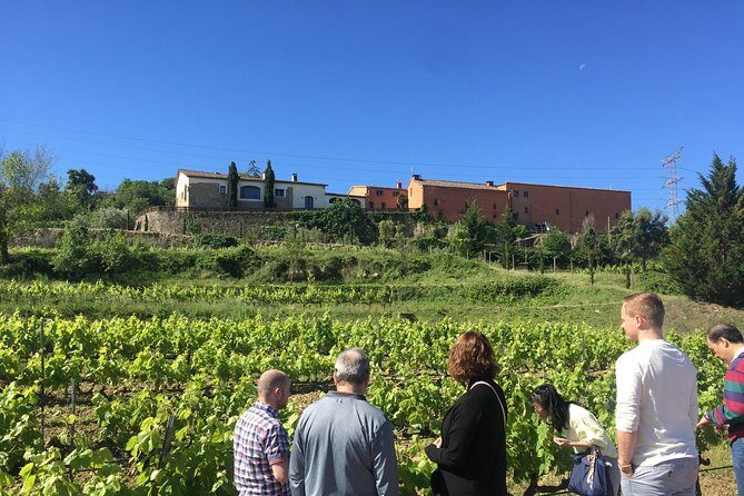 Montserrat & best winery private tour experience with a local expertise - FAQ