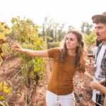 Montserrat & Cogwheel Train, Gourmet Wine Tasting & Tapas/Lunch - The Winery Experience: Organic Wines & Vineyard Strolls