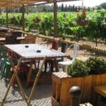 Montserrat & Winery Visit Tour with Traditional Farmhouse Lunch - Practical Details and Value