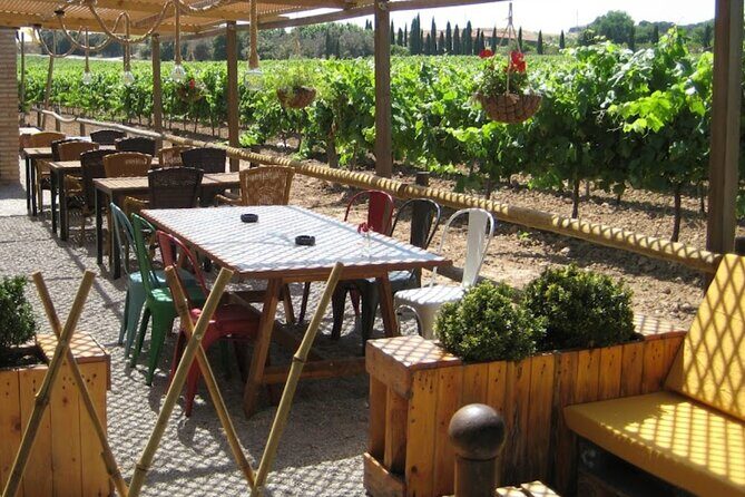 Montserrat & Winery Visit Tour with Traditional Farmhouse Lunch - Practical Details and Value