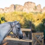 Morning Horseback Tour in Meteora with Monastery Ypapanti - Practical Details and Value