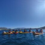 Morning Split Sea Kayaking Tour - What the Reviews Say: Authentic Insights