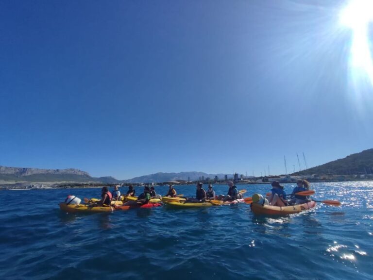 Morning Split Sea Kayaking Tour - What the Reviews Say: Authentic Insights