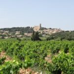 Morning Wine Tour to Chateauneuf du Pape from Avignon - Who Should Consider This Tour?