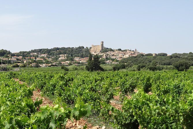 Morning Wine Tour to Chateauneuf du Pape from Avignon - Who Should Consider This Tour?