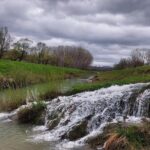 Motovun Area Hiking Tour with a Historian - The Guide: Knowledge and Personal Touch