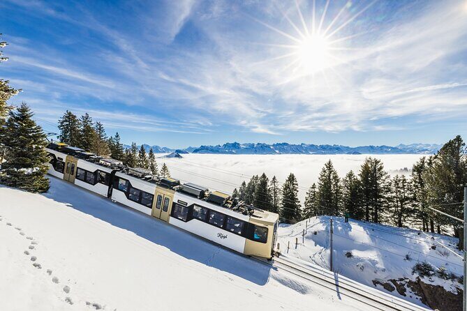 Mount Rigi Day Ticket - The Overall Value: Who Will Love This?