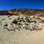 Mount Teide and Tenerife North with Food & Wine Tasting Private Tour - Frequently Asked Questions