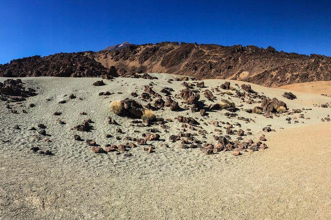 Mount Teide and Tenerife North with Food & Wine Tasting Private Tour - Frequently Asked Questions